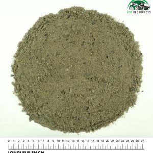 Sable 0/4 Roulé lavé